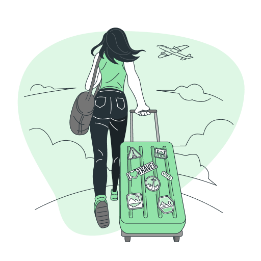 Женщина с чемоданом и сумкой идет через поле, на фоне самолет и облака.